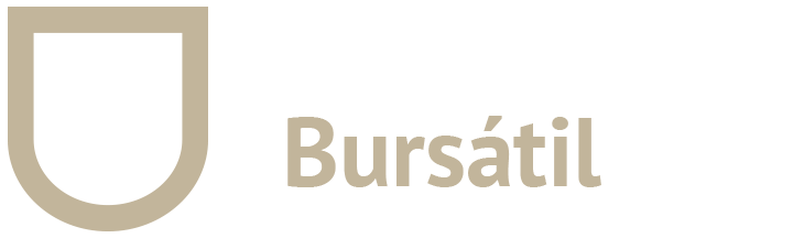 Orlando Bursatil SA